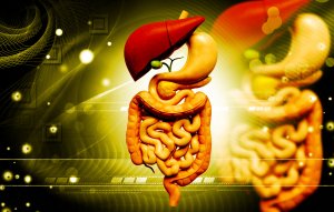 Все о Лечении и оздоровление ЖКТ