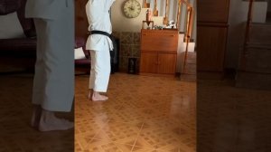 Kata Bassai-Dai. Adaptado al espacio. Karate Shotokan. Luis M Sanz.