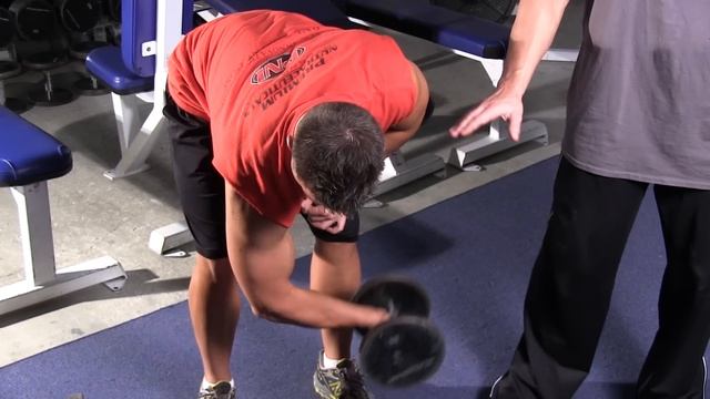 Standing Dumbbell Concentration Curls смотреть онлайн