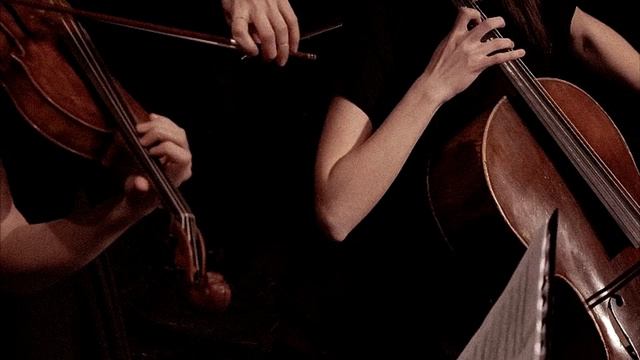 скрипка и виолончель разговаривают друг с другом