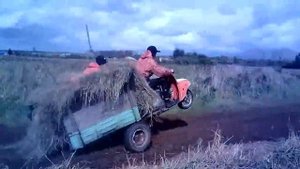 Стант на муравье