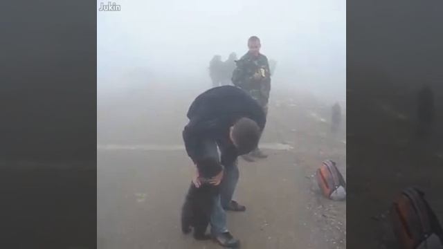 Медведь.Самый опасный зверь.Медведь Валера.