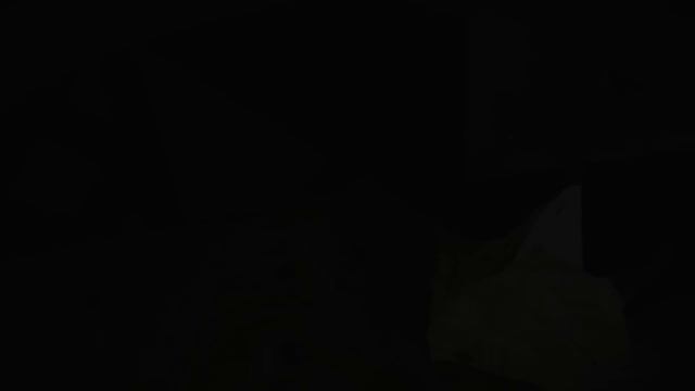 Shelter 2 - СИМУЛЯТОР РЫСИ (Финал Игры) смотреть онлайн