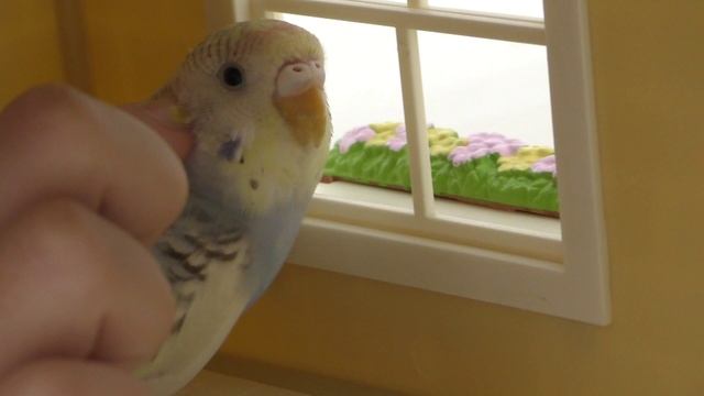 sylvanian families grand hotel - обзор - обставляем мебелью - ч.1 смотреть онлайн