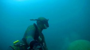 Подводная охота на лобана осенью 2021 год Черное море