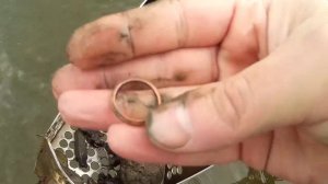 Поиск сокровищ под водой, золото, серебро, украшения! Search for treasures under water, gold!