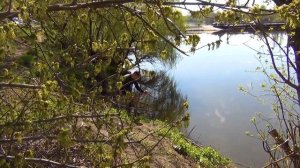 ВЕСЕННЯЯ РЫБАЛКА В ШИЛОВО НА РЕКЕ ДОН