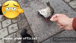 Нуроншо - Газали бехтарин 2020 АСО БАР ГУШИ ПИРЕ...