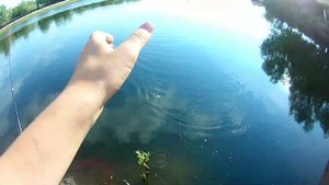 Рыбалка на Суре. Закилушные Карпы.