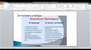 ЕГЭ по биологии 11 класс  Занятие 44. Многообразие живого мира