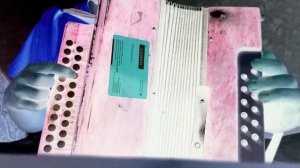 Лайф Life Сектор Газа разбор на гармони Жызнь Лайф гармошка ля Евграф Самолётов гармонь видео у roc