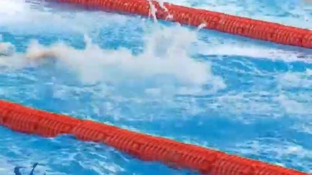 «Весёлый дельфин» 6+ смотреть онлайн