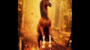 Осень и животные в лесу