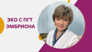 ПГД эмбриона при ЭКО - что это?