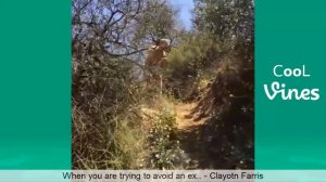 Funny Vines March 2019 (Part 2) TBT Vine compilation