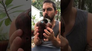 Triple Harmony Vessel Flute, Huaca