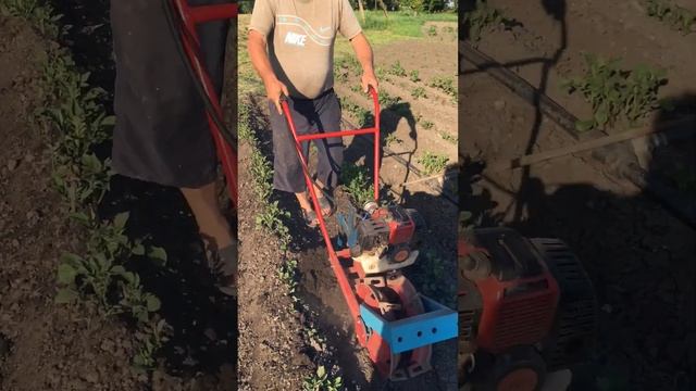 Мототяпка.Серия6 смотреть онлайн