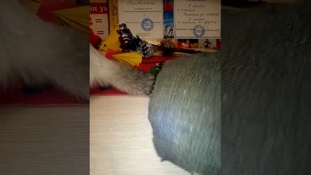 Поделки и грамоты из дома отдыха смотреть онлайн