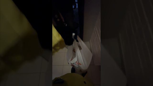 4 часа работы в Яндекс Еде курьером
Сколько удалось заработать