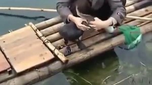 Как китайцы ловят рыбу