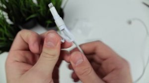 Как защитить кабель lightning и Apple EarPods?