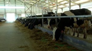 Дороги деревенские (237) 15.09.23