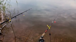 Рыбалка на Михайловском пруду Самарская область