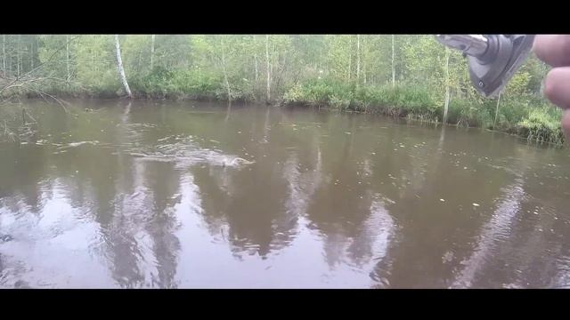 Хариус и Ленок на горных реках Забайкалья 1 смотреть онлайн