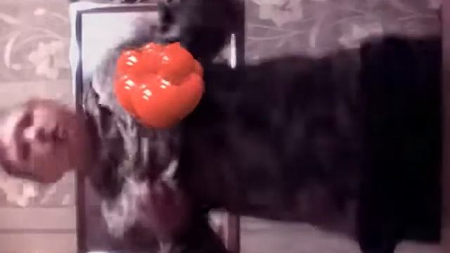 4 марта 2018 г. смотреть онлайн