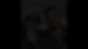 Звезды и их питомцы