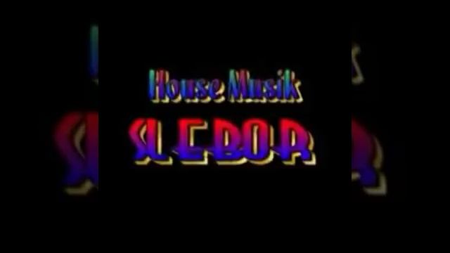 House Musik Slebor
