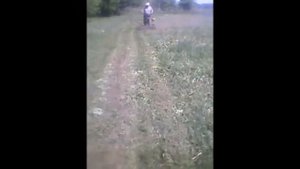 самоходная роторная косилка из тарпана и мотокосы