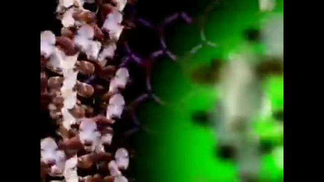 MOO! смотреть онлайн