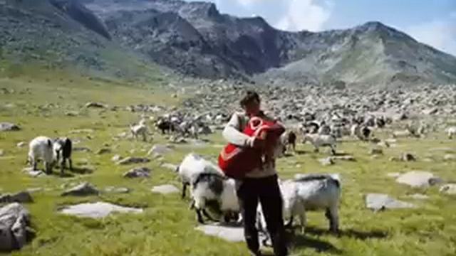 BİR ARTVİN TÜRKÜSÜ BU KADARMI GÜZEL SÖYLENİR смотреть онлайн