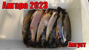 Как начинается утро рыбака на Ангаре. Август 2023. 2часть.