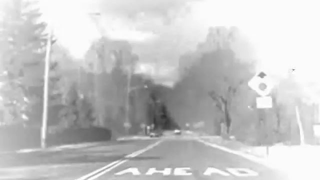 Ficus Virens - 5 Miles смотреть онлайн