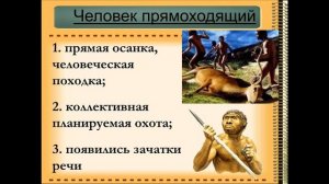 Происхождение человека.