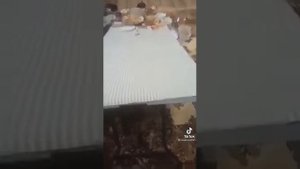 упал новогодний стол