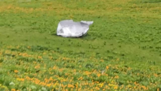 Альпийские луга Горного Алтая высота 2200м ступени после запуска ракет с Байконур смотреть онлайн