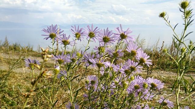 Чистый Байкал и приятная водичка! смотреть онлайн