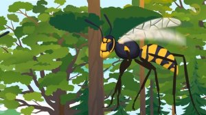 Что бы вы увидели, если бы смогли попасть в осиное гнездо