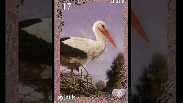 Школа ВОРОЖЕЯ, фрагмент лекции «Описание значений карты №17 - Аисты» (основные значения) смотреть онлайн