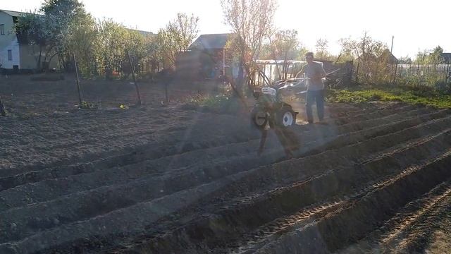 КУПИЛ ДИСКОВЫЙ ОКУЧНИК И СЦЕПКУ, НАРЕЗАЮ БОРОЗДЫ смотреть онлайн