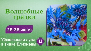 Волшебные грядки, 25-26 июня. Убывающая луна в знаке Близнецы