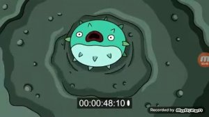 Знакомьтесь Арнольд!!!🐳🐳🐳