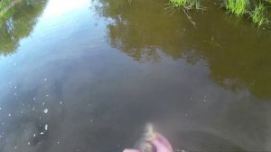 Ловля на сети. Часть 2.mp4