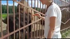 Зубрятник , зубр , зубры , зубровник , Токсово