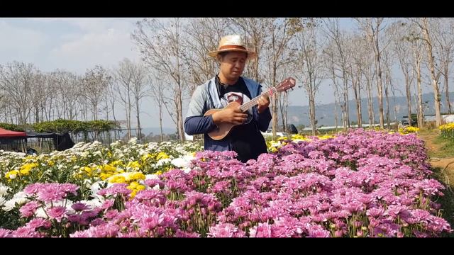 Somewhere Only We Know | Keane Ukulele Cover смотреть онлайн