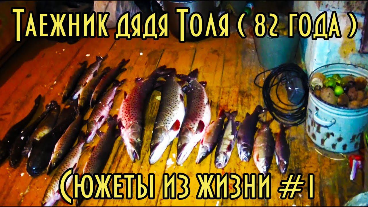 Таежник Дядя Толя ( 82 года ), сюжеты из жизни #3 Птички, рыбки, экстремалы, садок и жареный карась