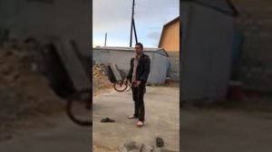 Неоспоримый 5